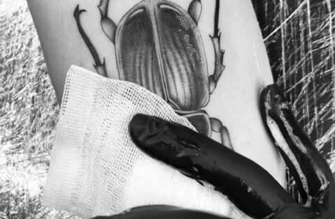 Tattoopflege